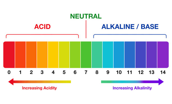 Ph scale diagram, Ph scale graphic, Acid to base, pH scale Infographic acid-base balance, Indicator diagram acidic alkaline measure isolated on white background illustration, Universal pH indicator