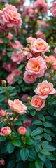Obraz premium Summer greenery with pink blooms, peach roses, and bokeh, natural beauty, soft focus