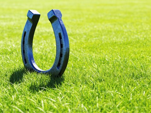 Eye level shot of a massive glowing blue metallic ox horseshoe resting on bright green field grass