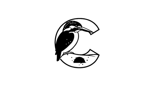 Kingfisher bird perched on crescent moon shape.