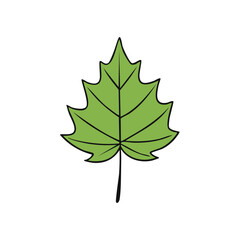 Fototapeta premium Simple Green Leaf Illustration with Veins and Stem