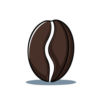 Close up of a single dark roasted coffee bean with a clear white center line and subtle shadow