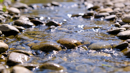 Fototapeta premium Smooth river stones in clear flowing water with sunlight reflections
