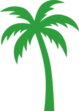 Green Palm Tree Vector Icon &ndash; Tropical Coconut Tree Summer Nature Symbol