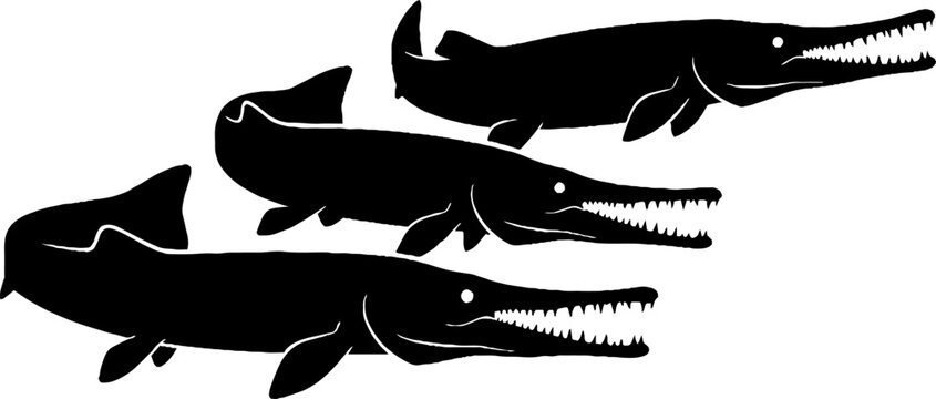 Three black alligator gar fish in a row.