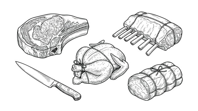 Raw Meat Cuts and Whole Chicken with Kitchen Knife Hand Drawn Illustration