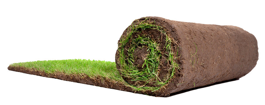 Rolling Lawn Panorama - PNG on transparent Background