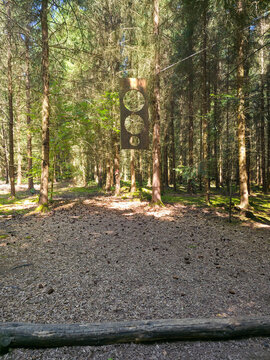 germany, wooden target challenge for pine cone throwing game offering interactive family entertainment in forest