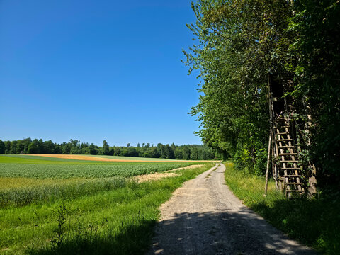 germany, scenic hiking trail beside lush meadows fields and hunting stand under brilliant blue sky