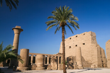 Obraz premium High stone columns and a solitary palm tree standing within the historic ruins of Karnak Temple Egypt