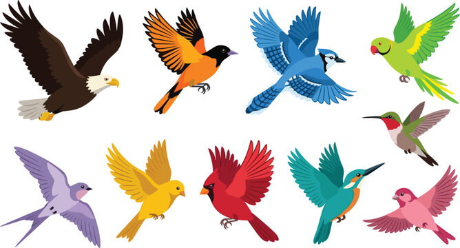 Beautiful Flying Birds Vector Icon Set Featuring Bald Eagle, Blue Jay, Cardinal, Hummingbird, Parrot, and Kingfisher Elements for Wildlife and Nature Graphic Designs