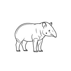 Obraz premium A hand drawn outline of a young tapir standing steadily on four legs showing the unique snout features of this rare jungle creature often found in tropical rainforest habitats across the globe