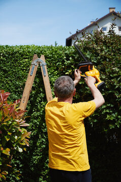 Elderly man trimming hedge fence