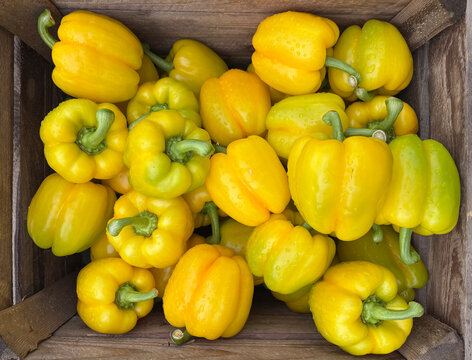 yellow peppers