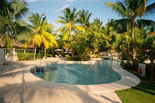 Hotel swimming pool lined with lounge chairs and surrounded by palms