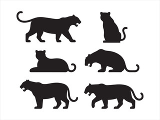 Tiger silhouettes set varied poses for wildlife black vector isolated illustration © Chan