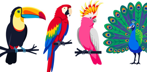 Obraz premium Tropical Exotic Birds Vector Set Featuring Colorful Toucan Macaw Parrot Cockatoo and Peacock with Feathers for Nature and Wildlife Graphic Designs