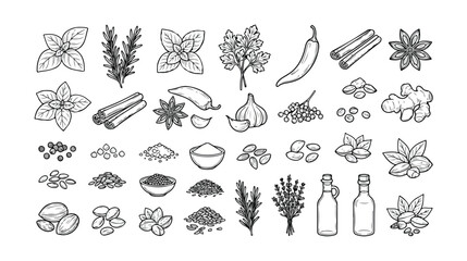 Set of 40 Hand Drawn Spice Herb and Seasoning Vector Icons © Rafia
