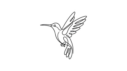 Fototapeta premium Continuous single line drawing of a flying hummingbird.