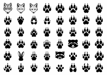Large collection of wild animal paw print footprint silhouettes with wolf fox raccoon and rabbit black vector illustration © Prosenjit