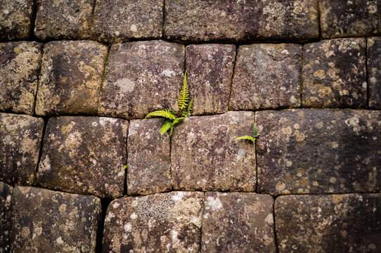 At stone wall at Machu Picchu in the Andes mountains of Peru, South America.