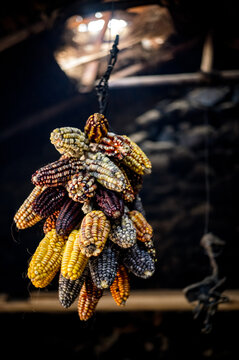 Hanging dried corn in an old house in the town of Ollantaytambo, Peru.