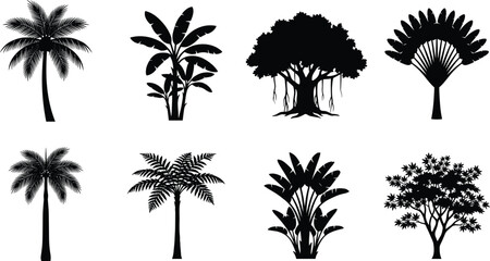 Fototapeta premium Tropical Tree Silhouette Vector Collection Featuring Palm, Banana, and Banyan Trees for Nature Design
