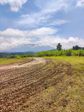 Rugged off-road trail with deep muddy ruts stretching through open countryside, captured on a bright sunny day, highlighting challenging terrain, outdoor adventure, and remote rural exploration.