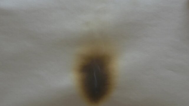 White paper burning in slow motion on a black background