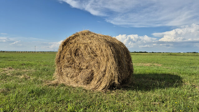 A single large round hay bale sits centered in a vast green field under a bright blue sky with scattered clouds.