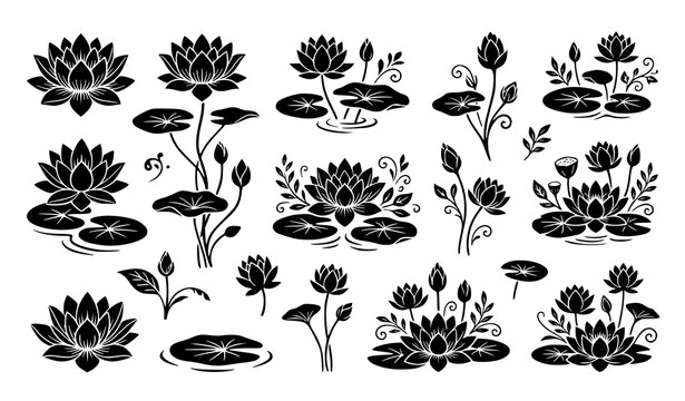 Collection of water lily flowers floating leaves and pond plants black silhouette vector illustration