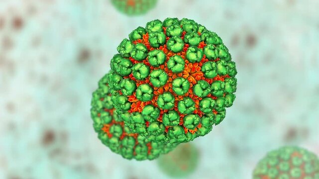 Banna virus particle, 3D animation showing icosahedral double-stranded RNA arbovirus with segmented genome, associated with mosquito-borne febrile illness.