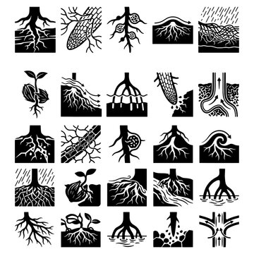 Plant Root System Silhouette Icon Set, Soil Erosion Control Mangrove Roots and Underground Water Absorption Ecology Vector Illustration