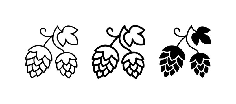 Hop Cones Vector Icons, Botanical Illustration for Brewing and Craft Beer Design