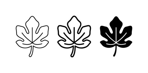 Obraz premium Fig Leaf Icons, Vector Set: Outline, Line Art, Solid Fill Styles