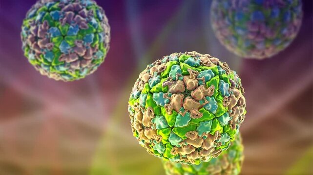 Foot-and-mouth disease virus (FMDV), 3D animation showing viral particles, a highly contagious RNA virus causing severe disease in cloven-hoofed animals like cattle, pigs, sheep, and goats.