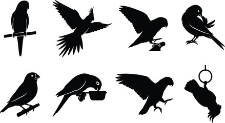 Fototapeta premium Bird silhouette set with parrots and songbirds in flying, perching, and feeding poses