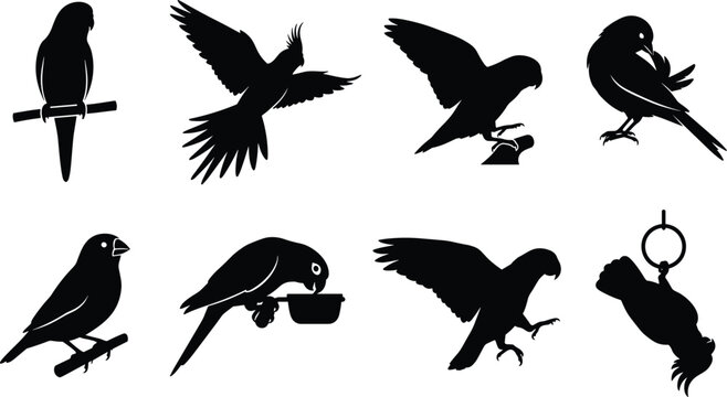 Bird silhouette set with parrots and songbirds in flying, perching, and feeding poses