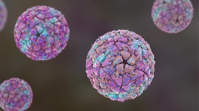 Foot-and-mouth disease virus (FMDV), 3D animation showing viral particles, a highly contagious RNA virus causing severe disease in cloven-hoofed animals like cattle, pigs, sheep, and goats.
