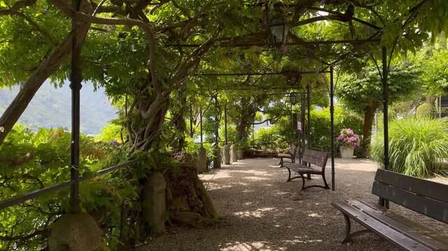 Wisteria Pergola Walkway at Lake Como Italy, Empty Garden Path with Wooden Benches, Scenic Lakeside Nature Landscape, Luxury Italian Villa Garden Summer Travel Background
