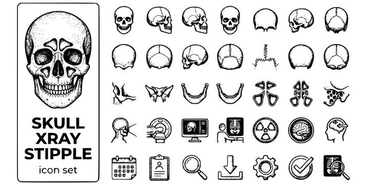 Skull X-Ray Stipple Black White-Cranial Bone Sinus Cavity Temporal-Head Imaging Vector-Skull Icon Stipple-Medical Imaging Design Set