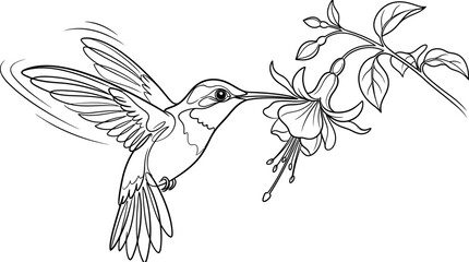 Detailed Hummingbird Feeding Nectar from a Beautiful Flower on Isolated White Background © Rifki