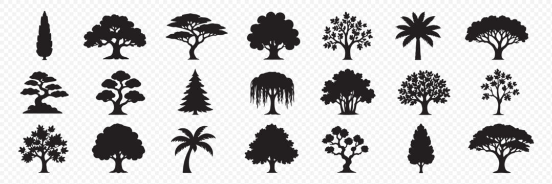 Forest trees silhouette vector icons set showing black pine spruce fir and deciduous woodlands isolated on white background for nature designs