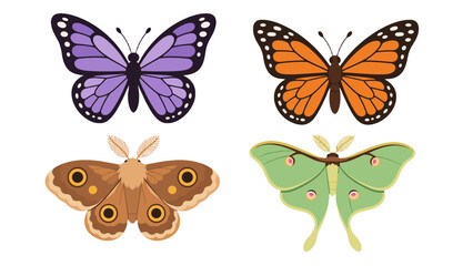 Colorful butterfly and moth set in flat vector style © Alan