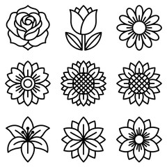 Fototapeta premium Collection of Hand Drawn Flower Illustrations.