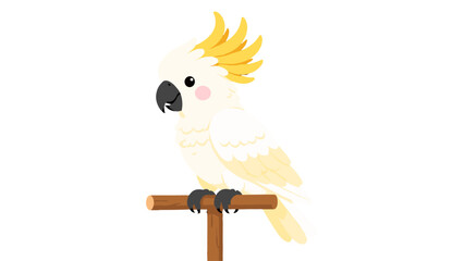 Cute white cockatoo perched on wooden stand vector illustration © Alan