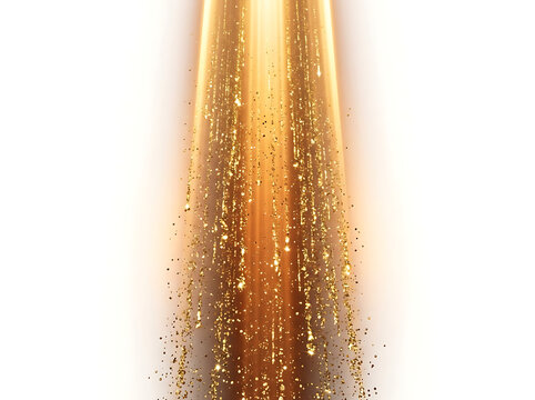 Golden wheat stalk with water droplets closeup.