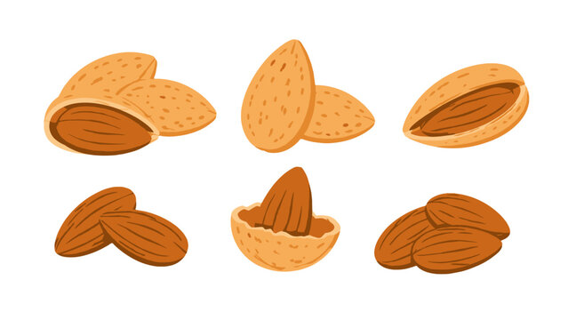 Set of almond nuts and shells in flat vector style