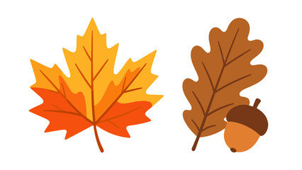 Cartoon autumn maple and oak leaves with acorn isolated © Alan
