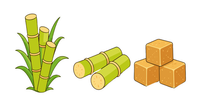 Cartoon sugarcane stalks with brown sugar cubes vector illustration
